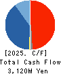 SHINDEN HIGHTEX CORPORATION Cash Flow Statement 2025年Mar期 SHINDEN HIGHTEX CORPORATION Cash Flow Statement 2025年3月期