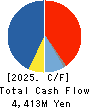 DIAMOND ELECTRIC HOLDINGS Co.,Ltd. Cash Flow Statement 2025年3月期