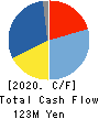 TAIYO TECHNOLEX CO.,LTD. Cash Flow Statement 2020年12月期