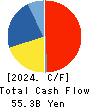 YAMADA HOLDINGS CO.,LTD. Cash Flow Statement 2024年3月期