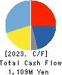 DYNIC CORPORATION Cash Flow Statement 2023年3月期