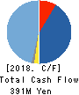 Alue Co.,Ltd. Cash Flow Statement 2018年12月期