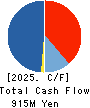 Broadmedia Corporation Cash Flow Statement 2025年3月期