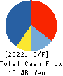 VITAL KSK HOLDINGS,INC. Cash Flow Statement 2022年3月期