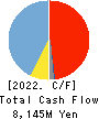 DAIHATSU INFINEARTH MFG.CO.,LTD. Cash Flow Statement 2022年Mar期 DAIHATSU INFINEARTH MFG.CO.,LTD. Cash Flow Statement 2022年3月期
