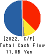 MITSUI MATSUSHIMA HOLDINGS CO., LTD. Cash Flow Statement 2022年3月期