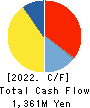 FUJITA ENGINEERING CO.,LTD. Cash Flow Statement 2022年3月期