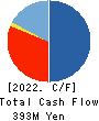 CAPITA Inc. Cash Flow Statement 2022年3月期