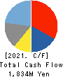 Advanced Media,Inc. Cash Flow Statement 2021年3月期
