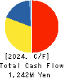 BSN MEDIA HOLDINGS, INC. Cash Flow Statement 2024年3月期