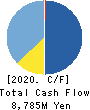 RPA Holdings,Inc. Cash Flow Statement 2020年2月期