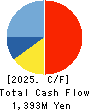 AIAI Group Corporation Cash Flow Statement 2025年3月期