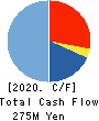 Global Information,Inc. Cash Flow Statement 2020年12月期