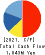 QUICK CO.,LTD. Cash Flow Statement 2021年3月期