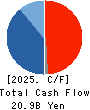 Restar Corporation Cash Flow Statement 2025年Mar期 Restar Corporation Cash Flow Statement 2025年3月期