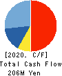 Basis Corporation Cash Flow Statement 2020年6月期