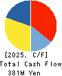 MKSystem Corporation Cash Flow Statement 2025年3月期