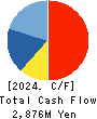 ARAYA INDUSTRIAL CO.,LTD. Cash Flow Statement 2024年3月期
