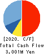 TECHMATRIX CORPORATION Cash Flow Statement 2020年3月期