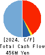 internet infinity INC. Cash Flow Statement 2024年3月期