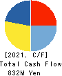 PACIFIC SYSTEMS CORPORATION Cash Flow Statement 2021年3月期