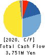 UMC Electronics Co.,Ltd. Cash Flow Statement 2020年3月期