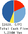 EM SYSTEMS CO.,LTD. Cash Flow Statement 2020年12月期