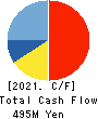 Virtualex Holdings,Inc. Cash Flow Statement 2021年3月期