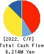 ICHINEN HOLDINGS CO.,LTD. Cash Flow Statement 2022年3月期