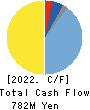 HIGASHIMARU CO.,LTD. Cash Flow Statement 2022年3月期