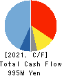 TOYO DRILUBE CO.,LTD. Cash Flow Statement 2021年Jun期 TOYO DRILUBE CO.,LTD. Cash Flow Statement 2021年6月期