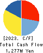 TOYO ASANO FOUNDATION CO.,LTD. Cash Flow Statement 2023年Feb期 TOYO ASANO FOUNDATION CO.,LTD. Cash Flow Statement 2023年2月期