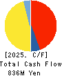 DM Solutions Co.,Ltd Cash Flow Statement 2025年Mar期 DM Solutions Co.,Ltd Cash Flow Statement 2025年3月期
