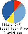 CTI Engineering Co.,Ltd. Cash Flow Statement 2023年12月期