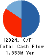 Delta-Fly Pharma,Inc. Cash Flow Statement 2024年3月期