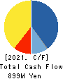 Startia Holdings,Inc. Cash Flow Statement 2021年3月期