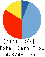 Sanoyas Holdings Corporation Cash Flow Statement 2020年3月期