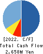 Cyfuse Biomedical K.K. Cash Flow Statement 2022年12月期