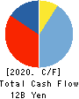 VITAL KSK HOLDINGS,INC. Cash Flow Statement 2020年3月期