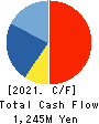SANSO ELECTRIC CO.,LTD. Cash Flow Statement 2021年3月期