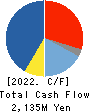 Nippon Pigment Company Limited Cash Flow Statement 2022年3月期