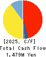 TECMIRA HOLDINGS INC. Cash Flow Statement 2025年2月期