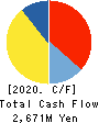 REVER HOLDINGS CORPORATION Cash Flow Statement 2020年6月期
