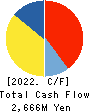 IBJ,Inc. Cash Flow Statement 2022年12月期