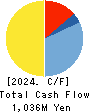 AI,Inc. Cash Flow Statement 2024年3月期