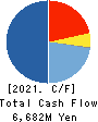 The Global Ltd. Cash Flow Statement 2021年6月期