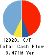 WDB HOLDINGS CO.,LTD. Cash Flow Statement 2020年3月期