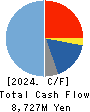 TOMEN DEVICES CORPORATION Cash Flow Statement 2024年Mar期 TOMEN DEVICES CORPORATION Cash Flow Statement 2024年3月期