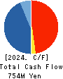 Founder’s Consultants Holdings Inc. Cash Flow Statement 2024年Jun期 Founder’s Consultants Holdings Inc. Cash Flow Statement 2024年6月期