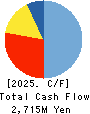 Techno Smart Corp. Cash Flow Statement 2025年3月期
